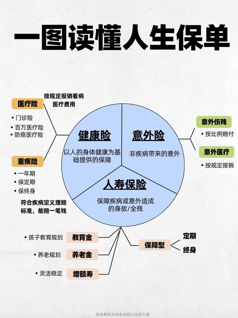 保险险种全解析与选择实用指南
