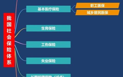 社会保障体系全解析与实际权益保障指南