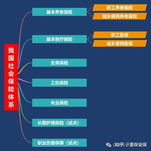 社会保障体系全解析与实际权益保障指南