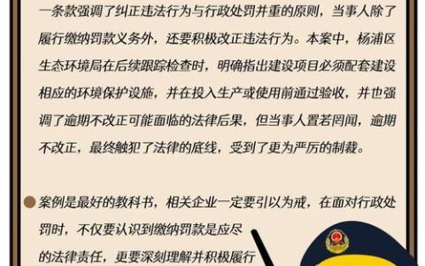 行政违法行为类型与法律责任全解析