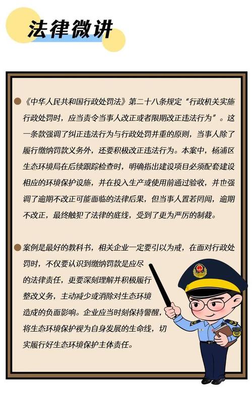 行政违法行为类型与法律责任全解析