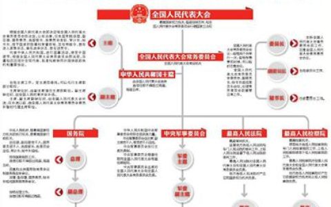中国立法机关全解析与法律制定背后的秘密