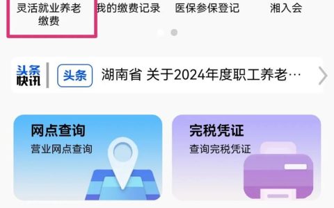 社会保险费全解析：构成与缴纳规则及法律影响