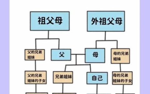 三代直系亲属范围解析：法律定义与现实应用