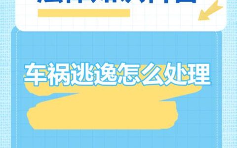 2024交通肇事逃逸处罚全解未构成犯罪也严惩