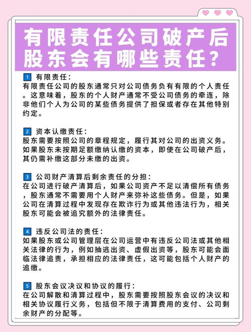 公司破产法律全解析法人债务责任界定与风险规避策略