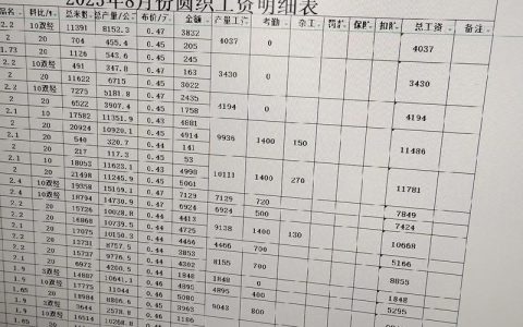 工资明细查询指南五种方法轻松获取薪资详情