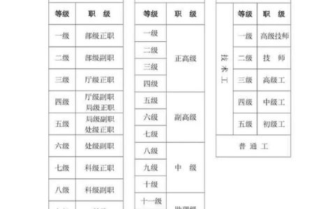 职场中的职位解析：法律定义与实际应用全攻略