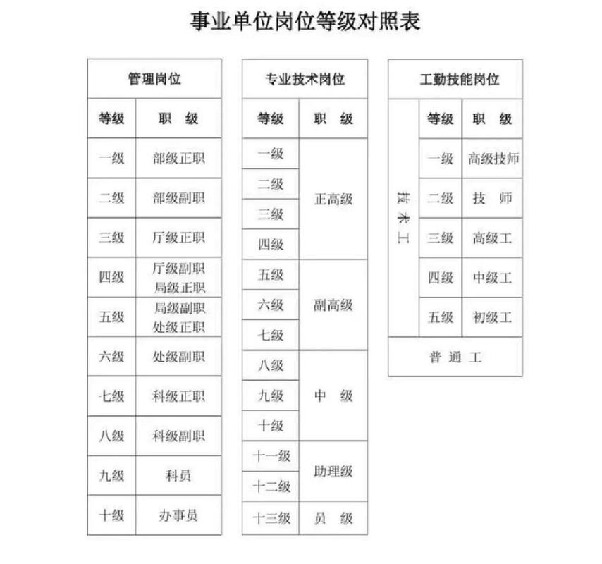 职场中的职位解析：法律定义与实际应用全攻略