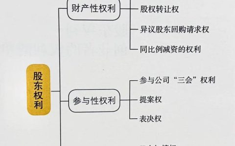 股东权益全解析：构成要素与法律价值探析
