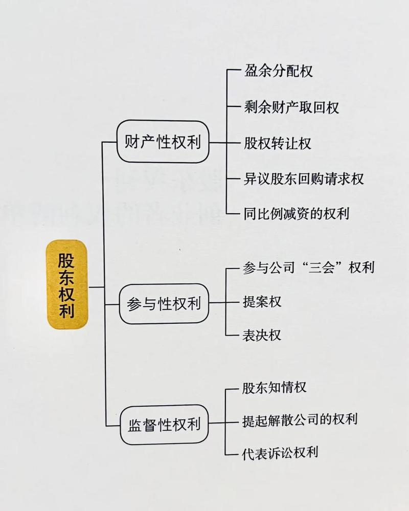 股东权益全解析：构成要素与法律价值探析