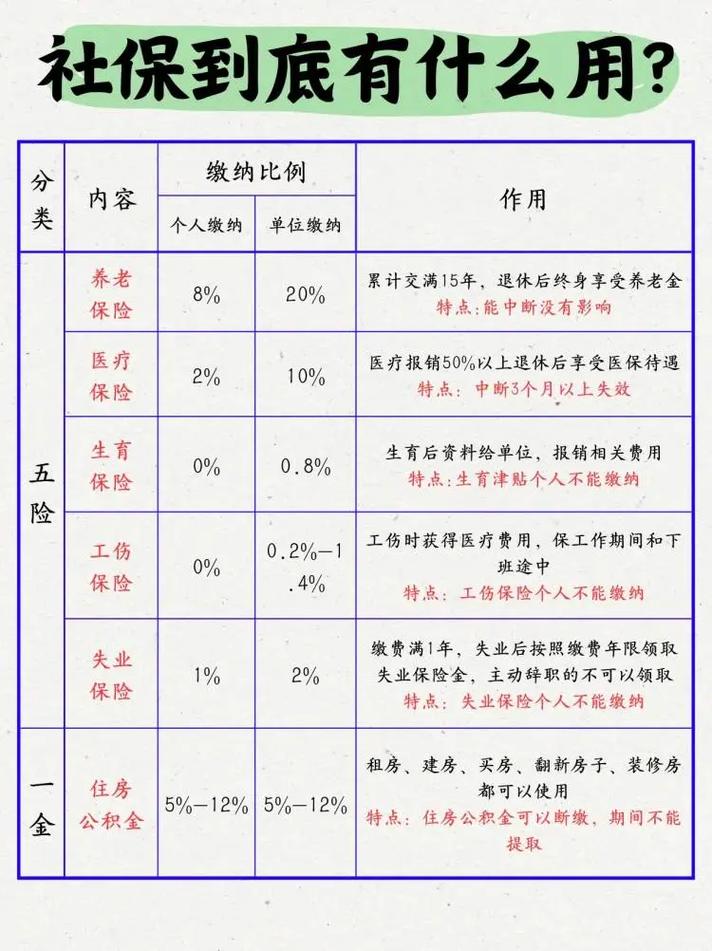 社会保险全解析：五险详解与权益保障指南