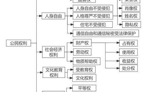 公民政治权利全解析与现实应用指南