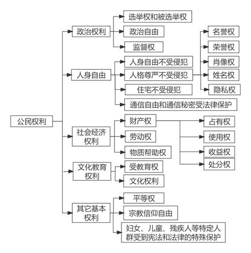 公民政治权利全解析与现实应用指南