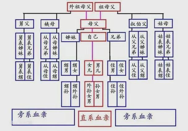 三代以内直系亲属范围与法律影响全解析