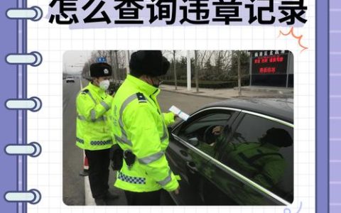 怀疑自己闯红灯怎么查最快查询方法与处理技巧