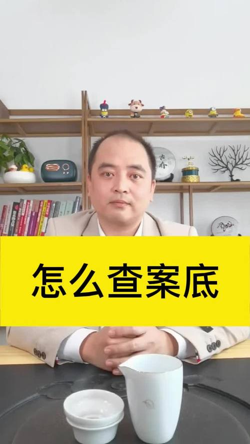 个人犯罪记录查询方法与法律依据