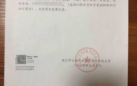 无不良记录证明办理全攻略流程与注意事项解析