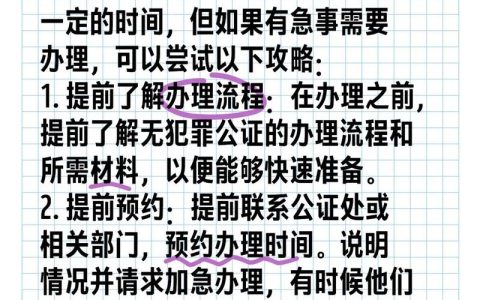 无犯罪公证怎么办理全流程与注意事项解析