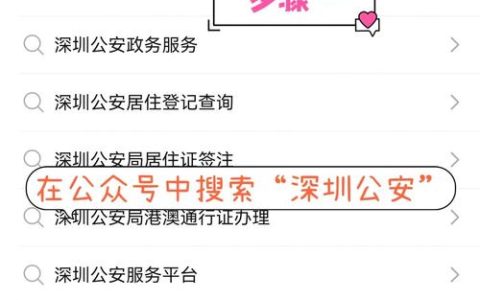 无犯罪证明代办流程全解析省时省力攻略