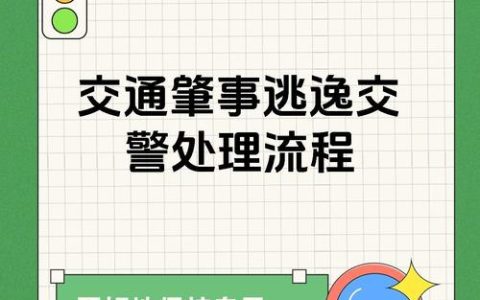 交警处理肇事逃逸全流程从现场勘查到责任追究