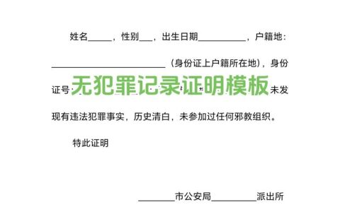 无犯罪记录证明样本图申请流程与注意事项