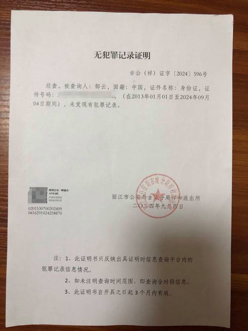 线上开无犯罪记录证明流程详解与实用技巧