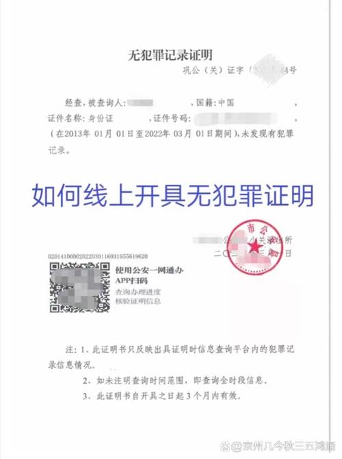 无犯罪记录证明怎么查全流程指南与注意事项
