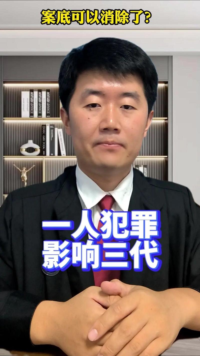 如何查询个人犯罪记录权威查询方法与法律规定