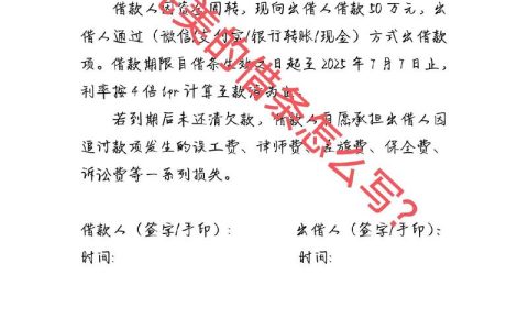 借条起诉全攻略单凭借条能否胜诉及证据保全指南