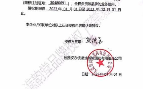 个人授权委托书规范要点、法律风险与实用指南