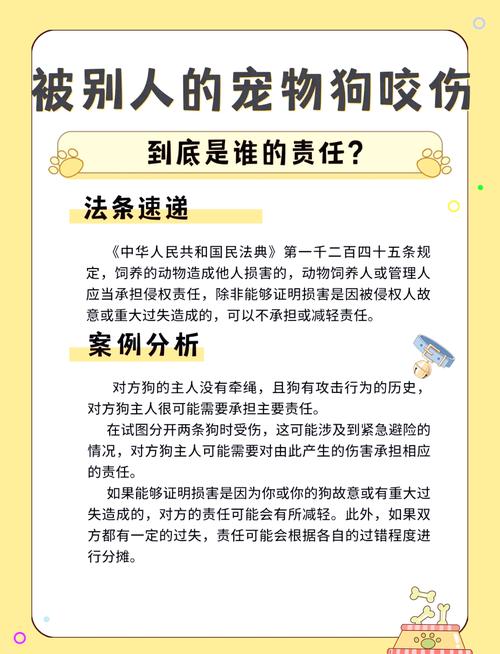 宠物犬伤人事件频发民法典框架下饲养人责任与损害赔偿规则解析