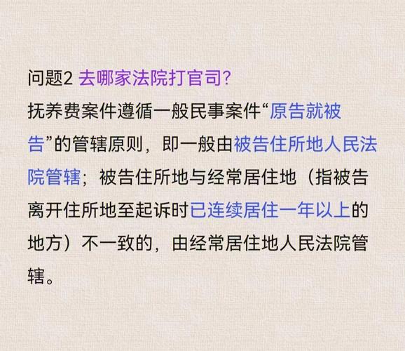 非婚生子女抚养费起诉指南证据准备与流程详解