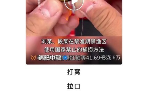 非法捕捞水产品罪立案标准与典型案例详解