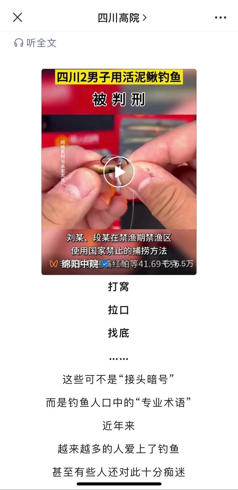 非法捕捞水产品罪立案标准与典型案例详解