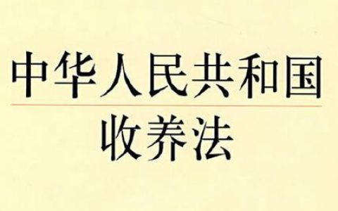 跨国收养指南：中国儿童被外国家庭收养的程序与条件