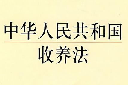 跨国收养指南：中国儿童被外国家庭收养的程序与条件