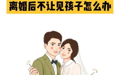 探望权被阻挠怎么办？法院强制执行流程与应对指南
