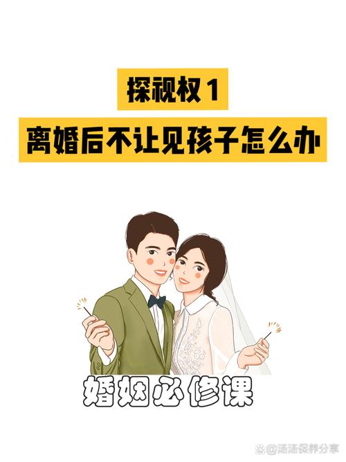 探望权被阻挠怎么办？法院强制执行流程与应对指南