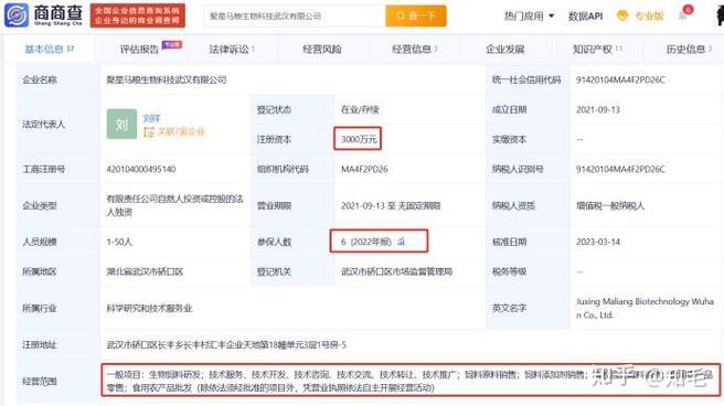专利被驳回的影响解析：权益损失与应对策略