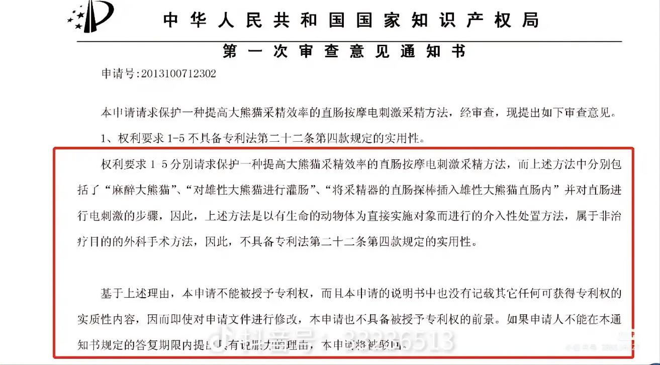 专利被驳回后还能再申请吗：流程与技巧解析