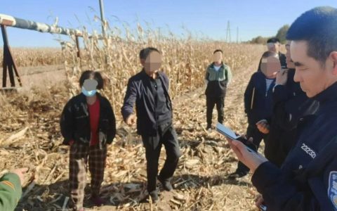 土地权属争议与侵权纠纷：受理与处理程序详解