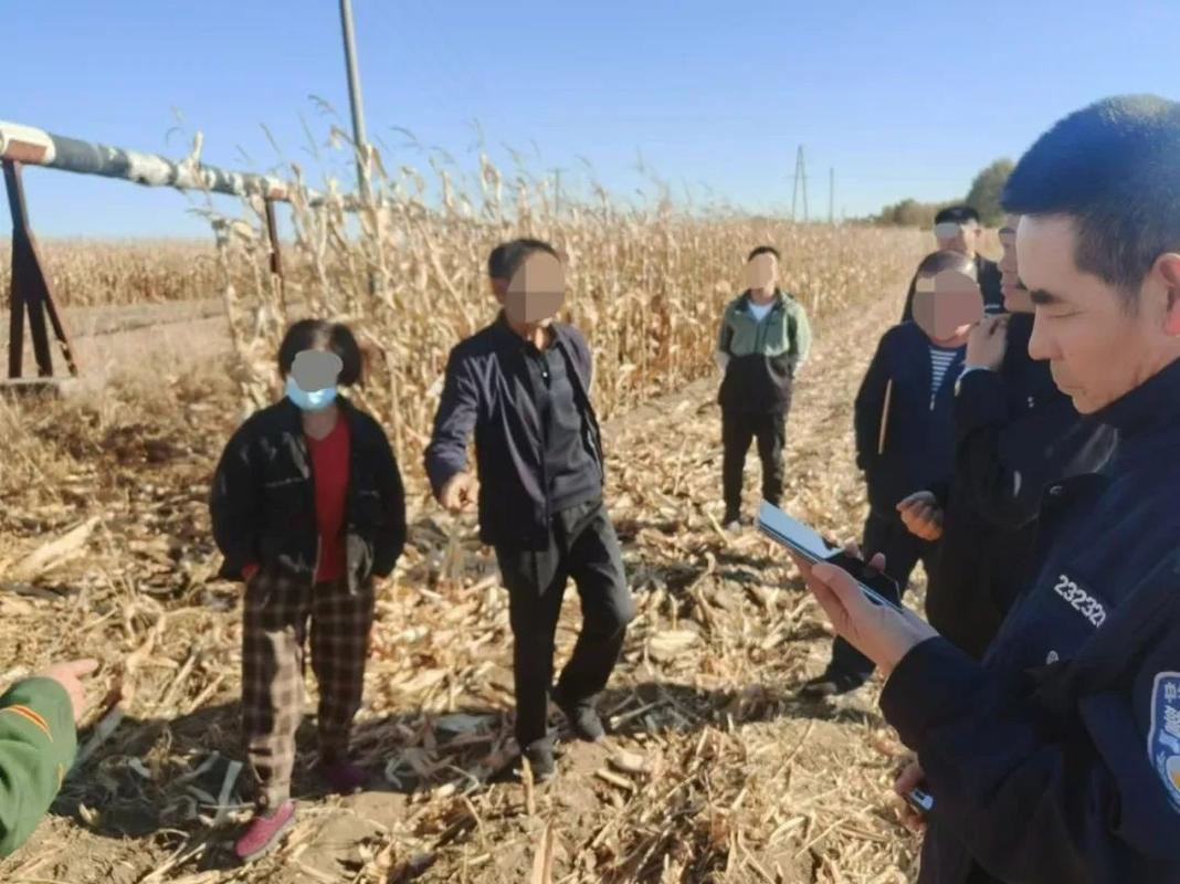 土地权属争议与侵权纠纷：受理与处理程序详解
