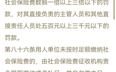 举报公司不交社保后果：企业风险与员工权益如何平衡？