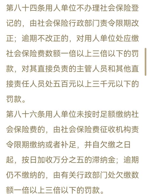 举报公司不交社保后果：企业风险与员工权益如何平衡？