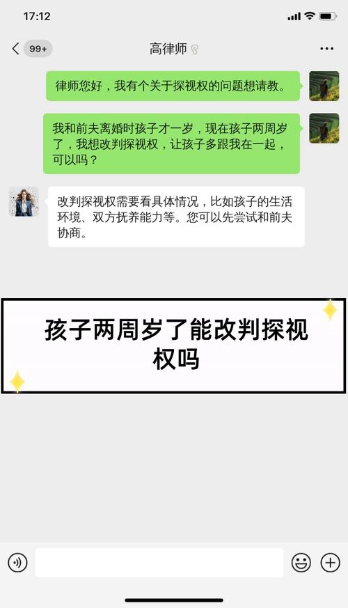 探视权执行难题与解决方案：法律规定与实务指南