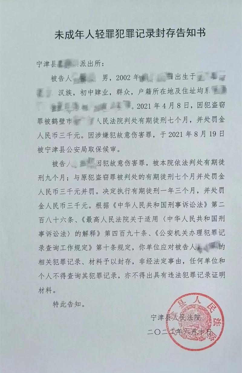 未成年人犯罪记录封存实施办法深度解读：法律适用与实务指南