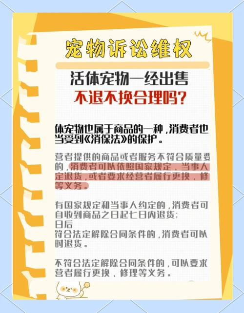 宠物店卖病猫如何维权：12315举报全流程与实战指南