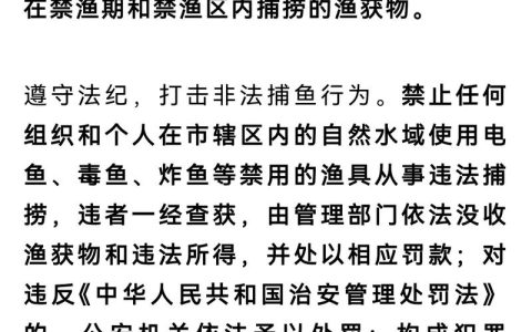 电鱼入刑标准与司法实践解析