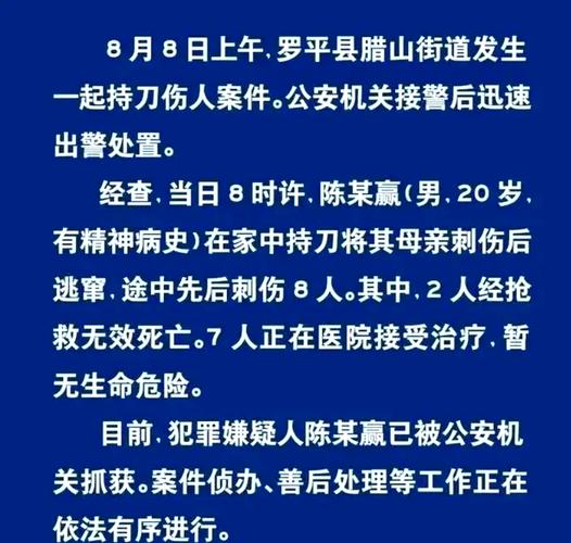 拿刀伤人属于什么案件：法律定性与量刑解析